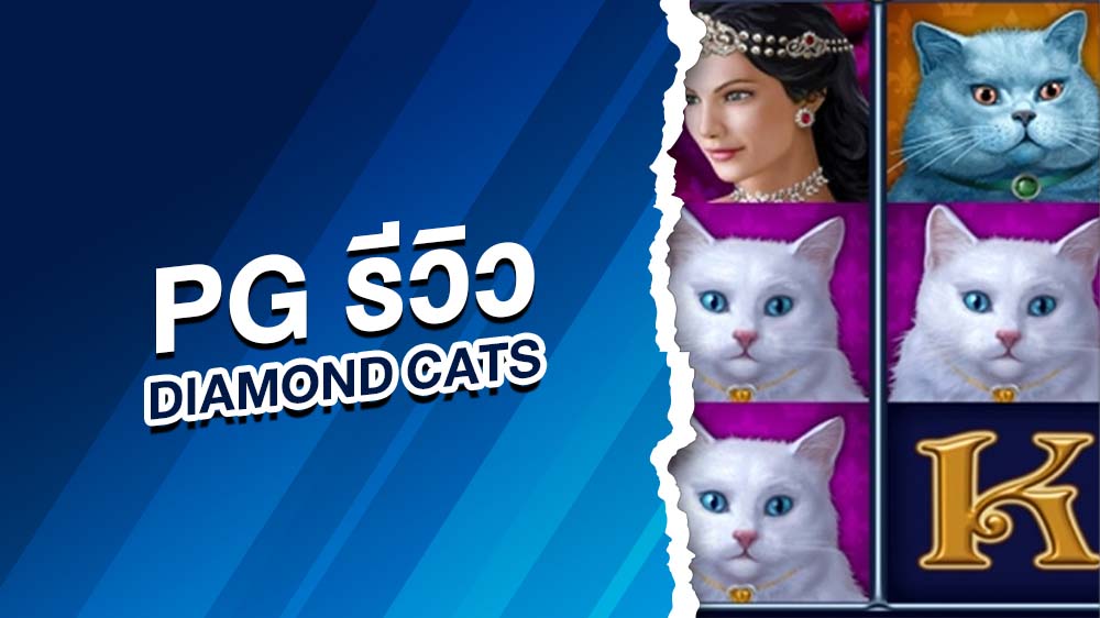 pg รีวิวdiamond cats